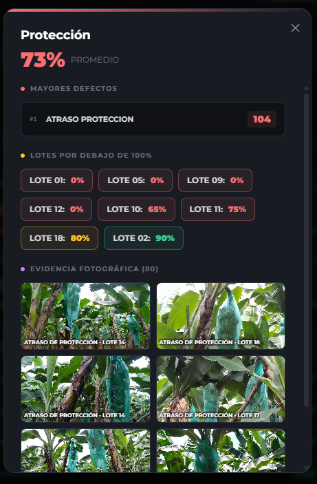 Auditoría Georeferenciada ECOBIS